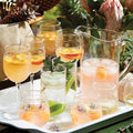 Isabella Stemless Acrylic Wine Glass