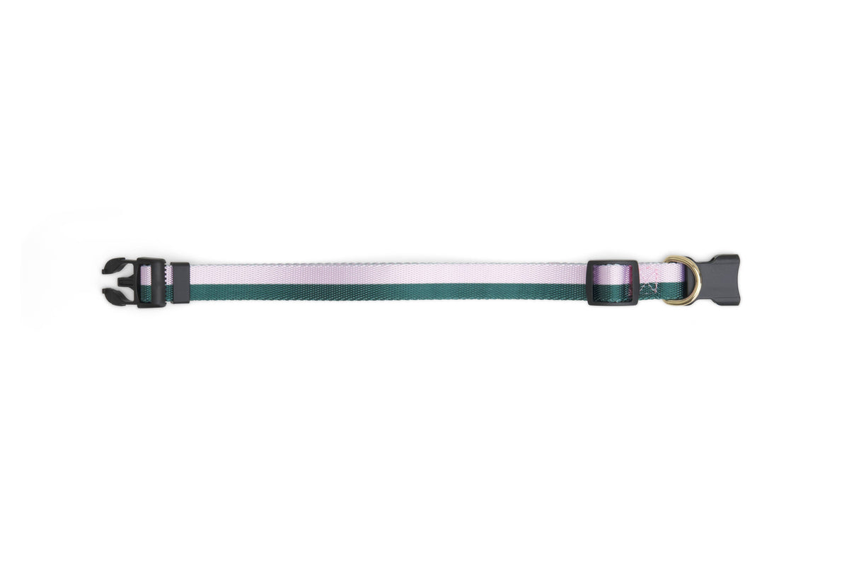 Stripe Dog Collar