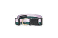 Stripe Dog Collar