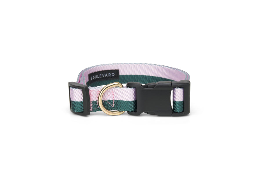 Stripe Dog Collar