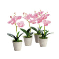 Mini Hydrangea Pots 8" White