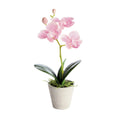 Mini Hydrangea Pots 8" White