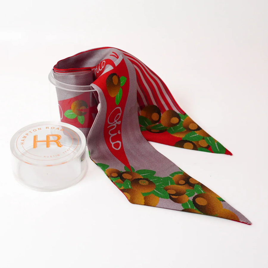 Fashion Plate Twilly Set