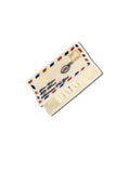 Hand-painted Airmail Claw Hair Clip | Eco-Friendly
