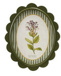 Oval MDF Framed Glass Scalloped Wall Decor with Flower & Striped Mat