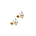 Screwback Stud Earrings